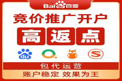 竞价开户优势解析：成功案例对比
